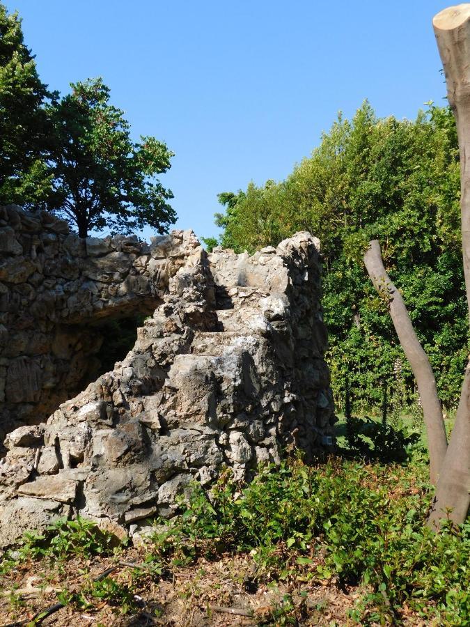Appartamento Con Piscina Immersa Nel Verde カーシナ エクステリア 写真