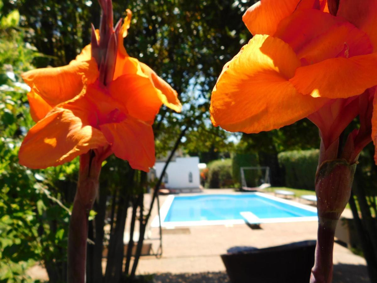 Appartamento Con Piscina Immersa Nel Verde カーシナ エクステリア 写真