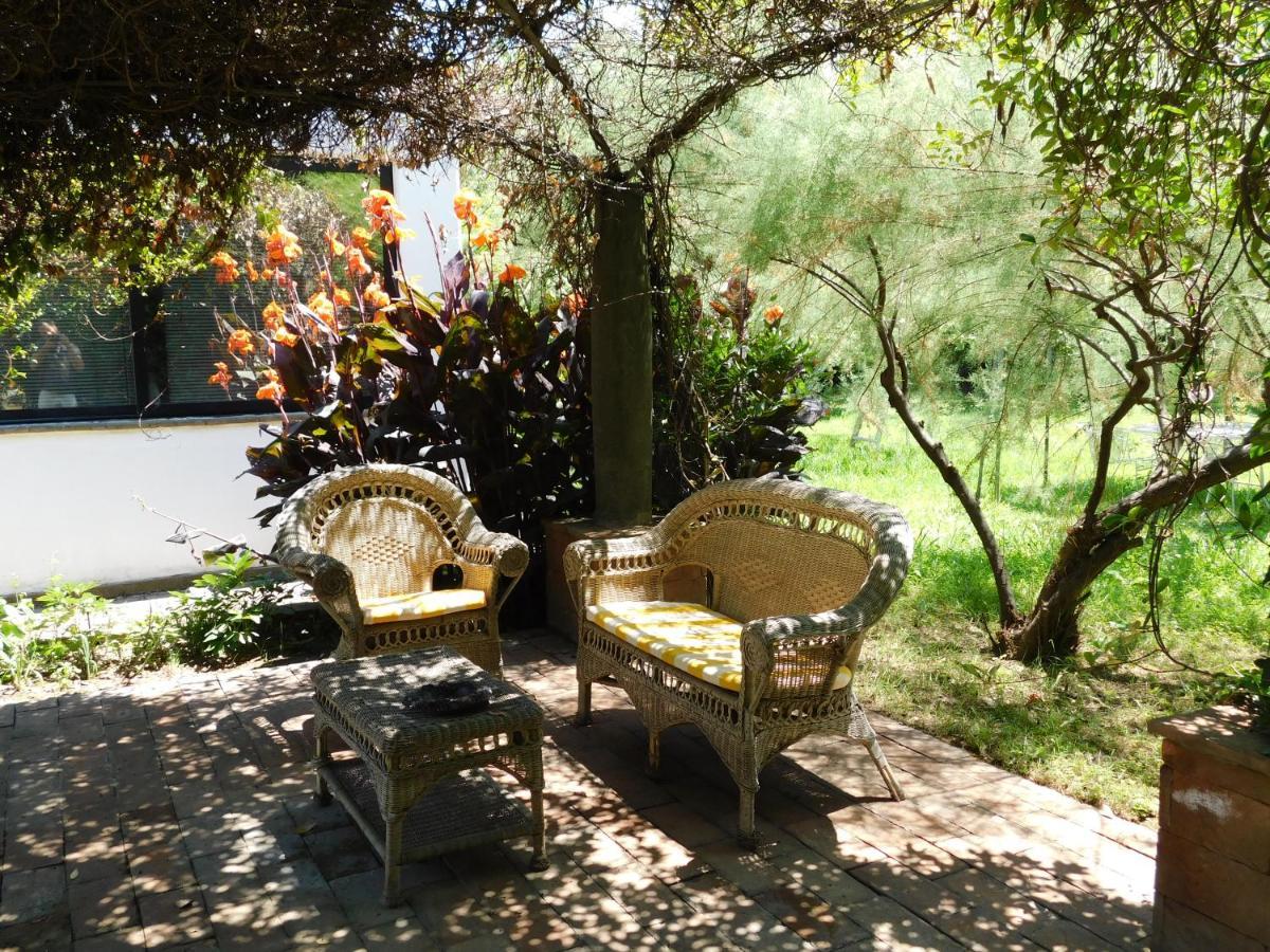 Appartamento Con Piscina Immersa Nel Verde カーシナ エクステリア 写真